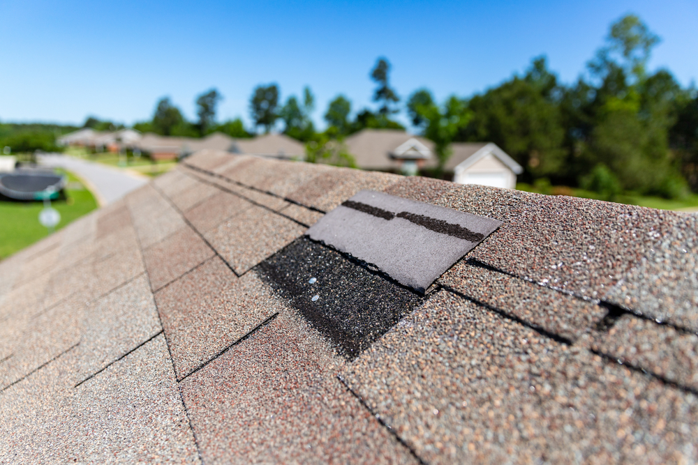 damaged roof shingle